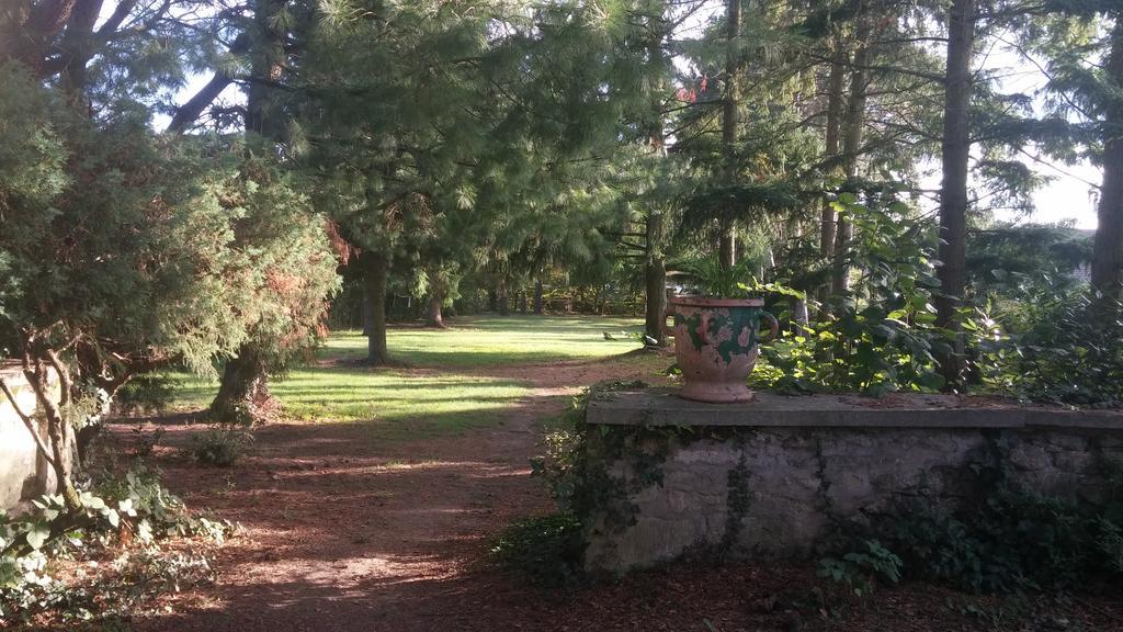 Relais De La Haute Pommeraye Apremont  Kültér fotó